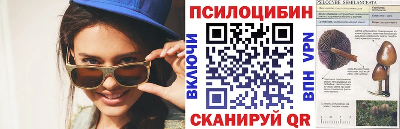 закладки  ссылка на мегу ссылка  Галлюциногенные грибы Psilocybe  Рудня 